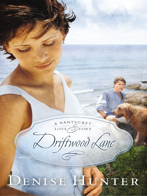 Title details for Driftwood Lane by Denise Hunter - Available